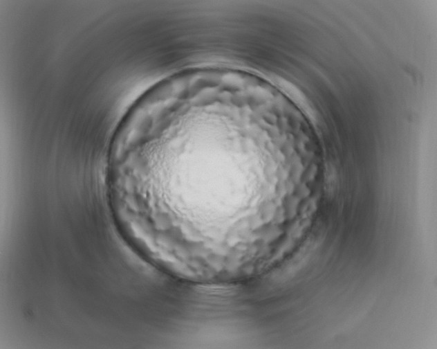 X0000113910863200910081848