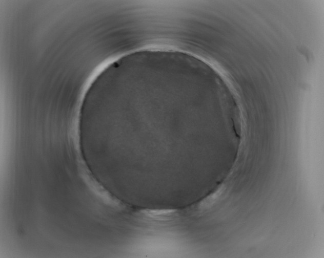 X0000113910864200910081848