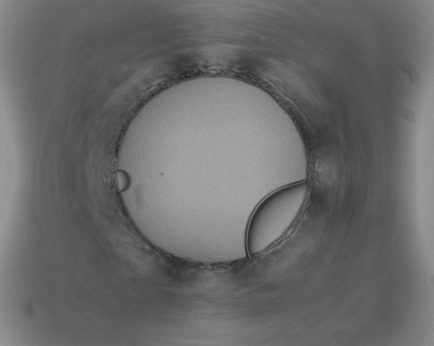 X0000113910865200910081847