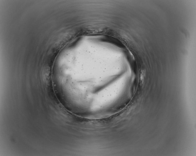 X0000113910867200910081847