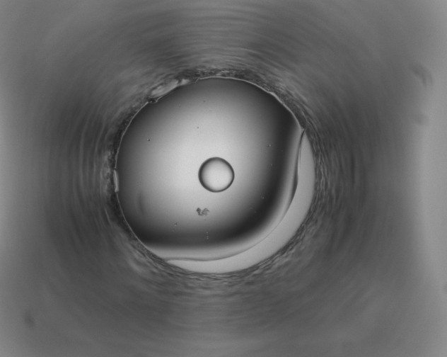 X0000113910868200910081847