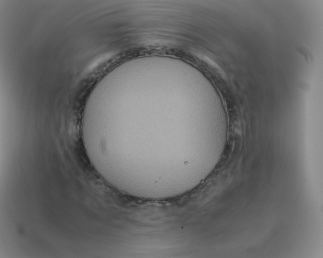 X0000113910869200910081847