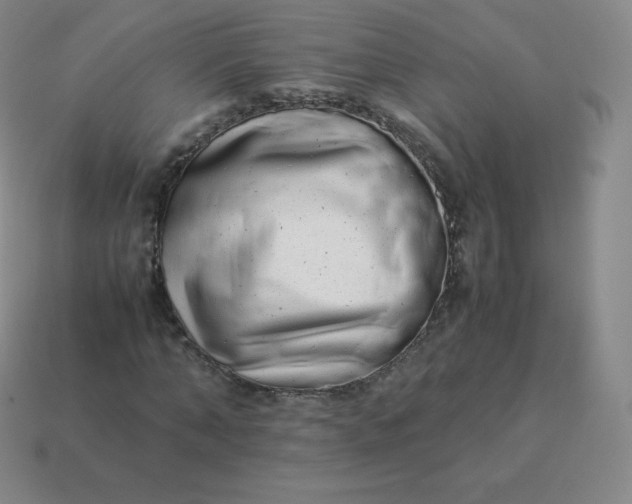 X0000113910870200910081847