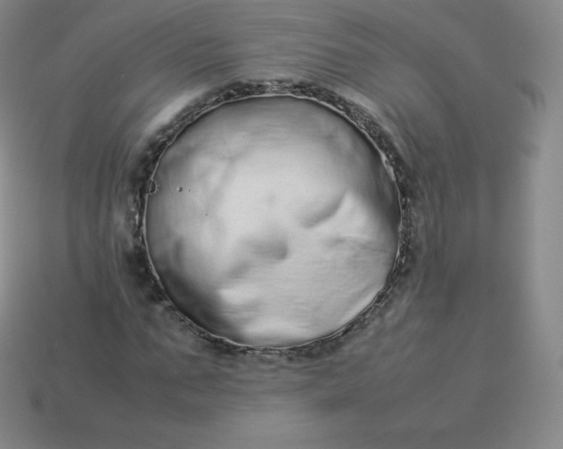 X0000113910871200910081847