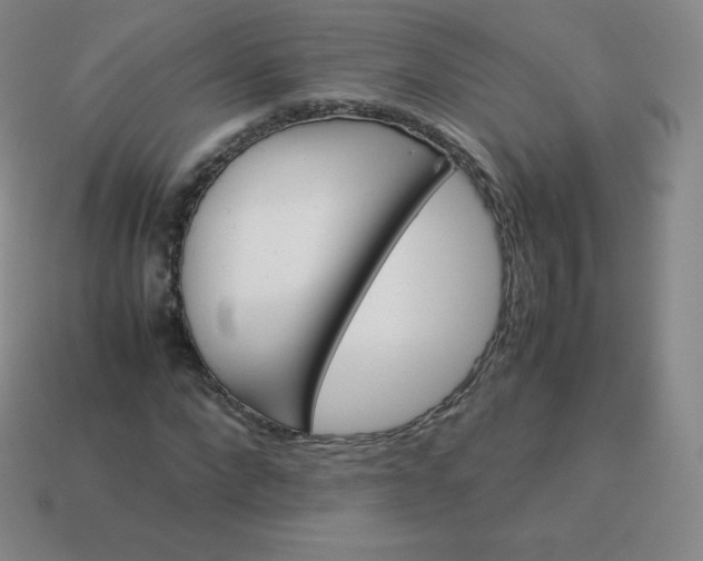 X0000113910872200910081847