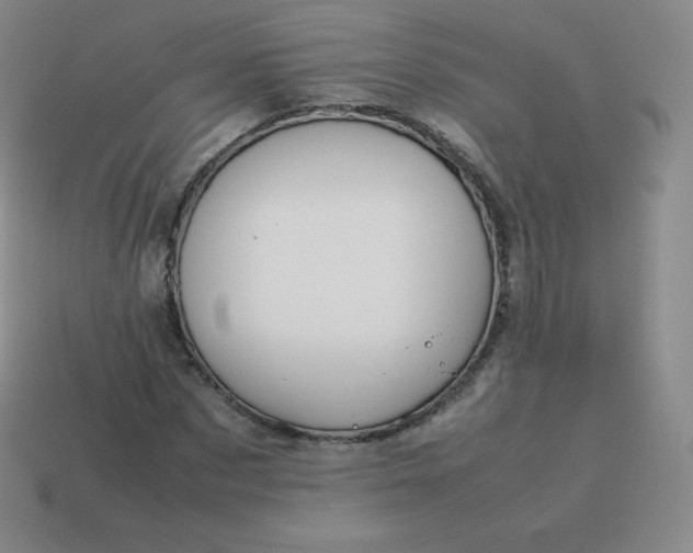 X0000113910873200910081847