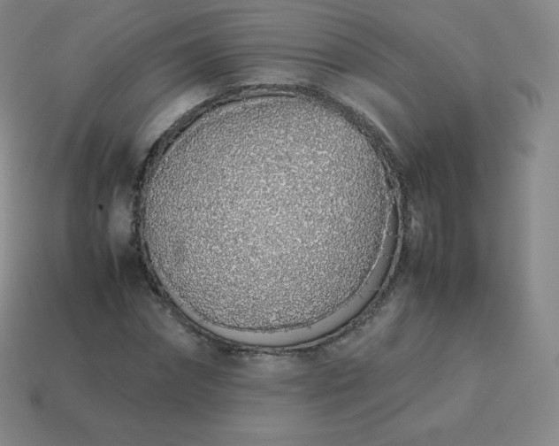 X0000113910874200910081847