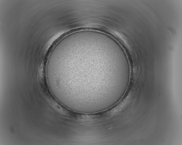 X0000113910875200910081847