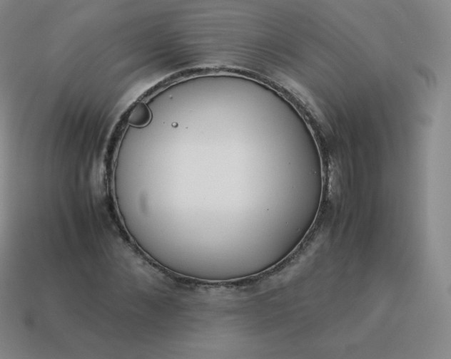 X0000113910876200910081847