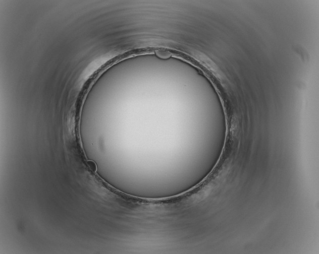 X0000113910877200910081847