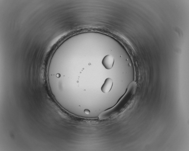 X0000113910878200910081847