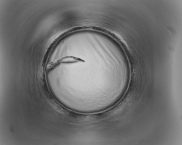 X0000113910879200910081847