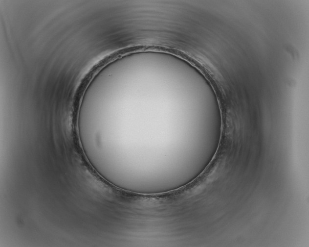 X0000113910880200910081847