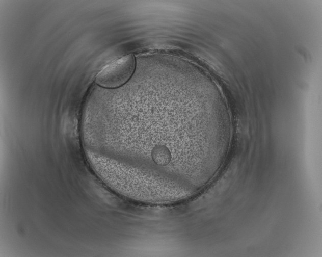 X0000113910881200910081847