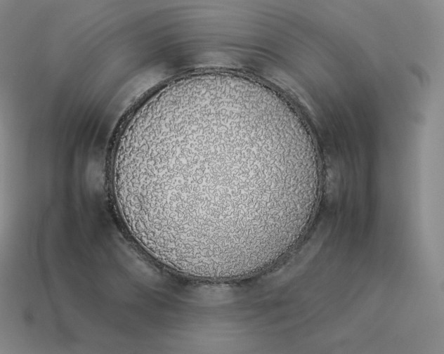 X0000113910882200910081847