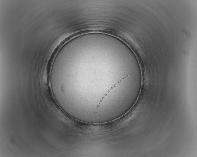 X0000113910883200910081847