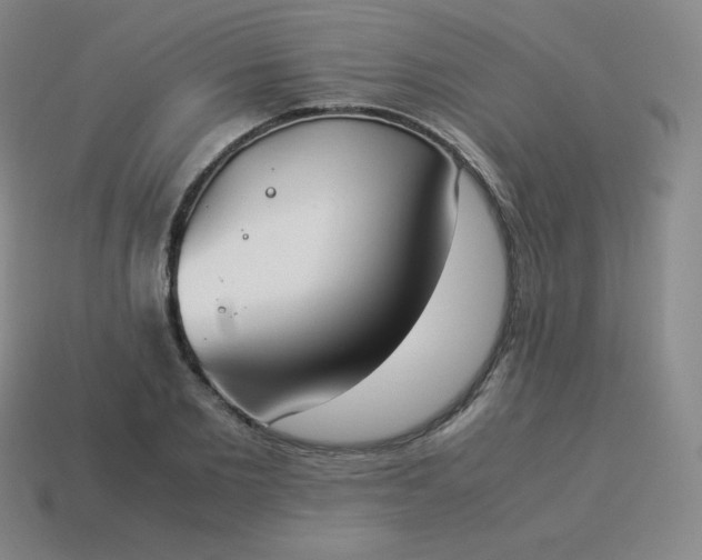 X0000113910885200910081847