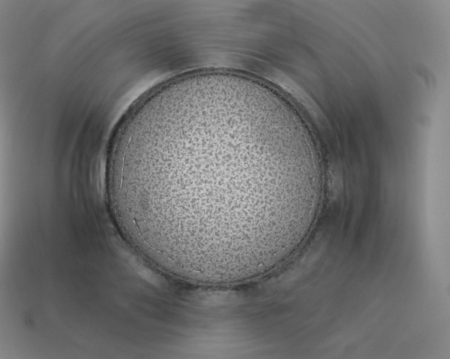 X0000113910886200910081847