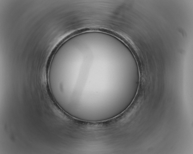 X0000113910887200910081847