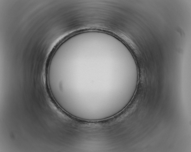 X0000113910888200910081847