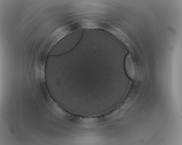 X0000113910889200910081847