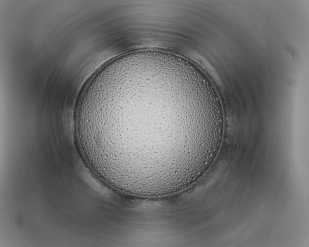 X0000113910890200910081847