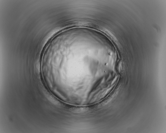 X0000113910891200910081847