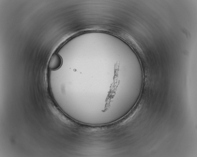 X0000113910892200910081847