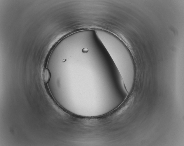 X0000113910893200910081847