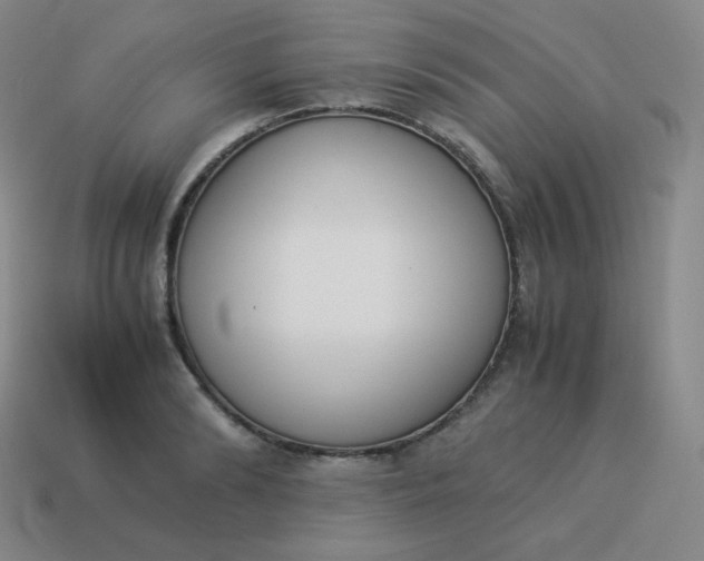 X0000113910894200910081847