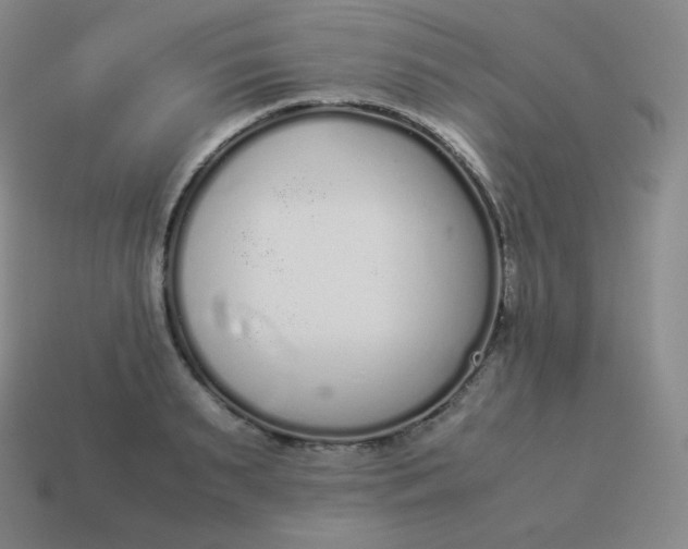 X0000113910895200910081847