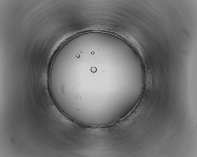 X0000113910896200910081847