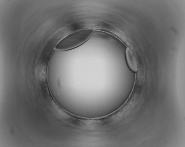 X0000113910897200910081847