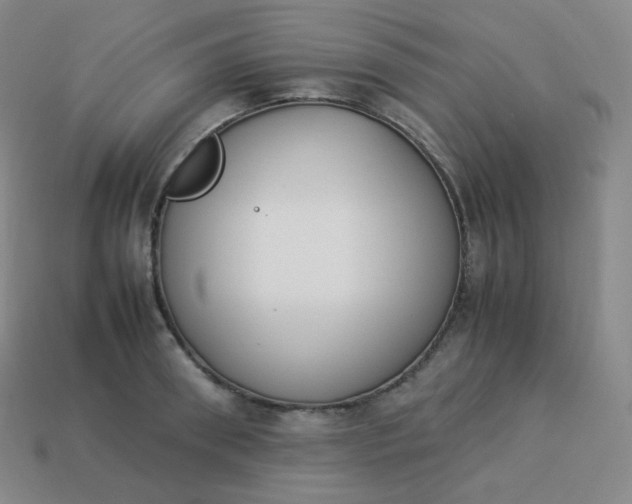 X0000113910898200910081847