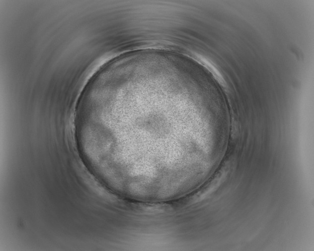 X0000113910899200910081847