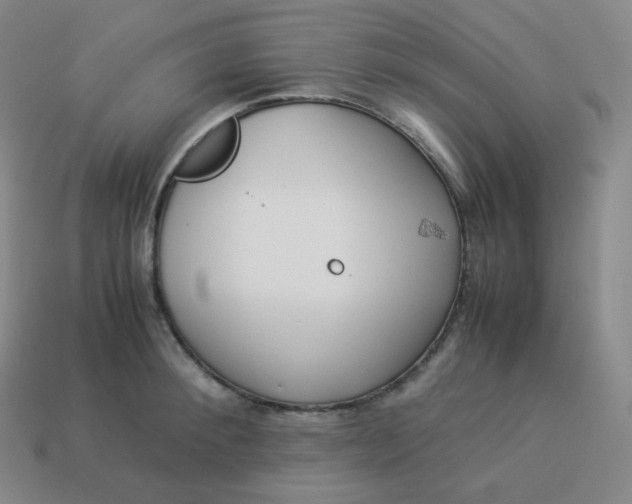 X0000113910900200910081847