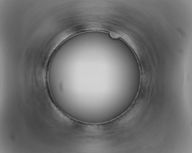 X0000113910901200910081847