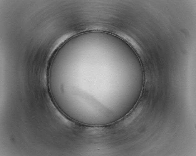 X0000113910902200910081847