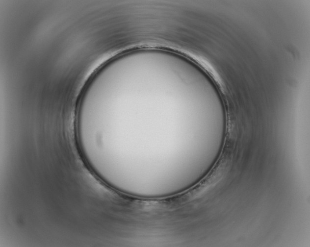 X0000113910903200910081847