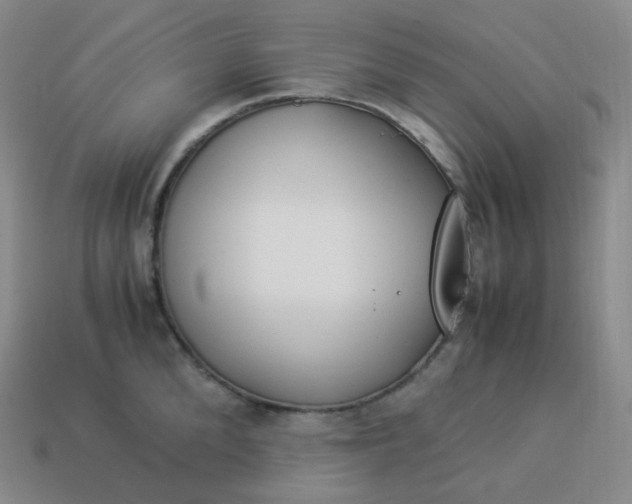 X0000113910904200910081847