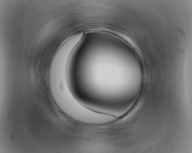 X0000113910905200910081847