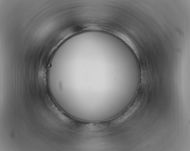 X0000113910906200910081847