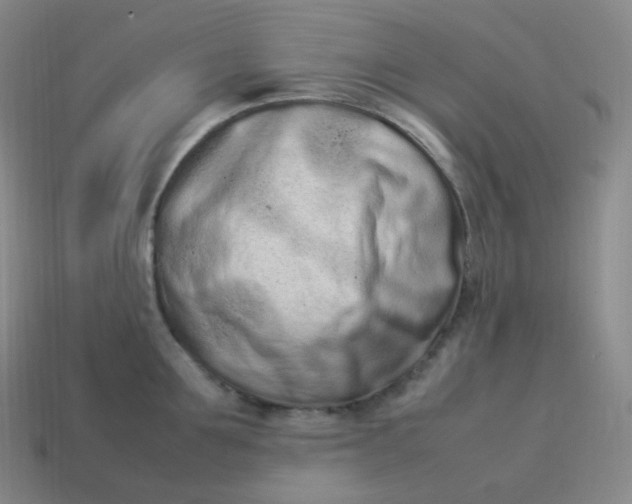 X0000113910907200910081847