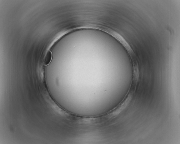 X0000113910908200910081847