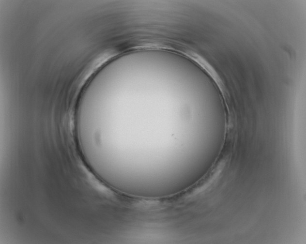 X0000113910909200910081847