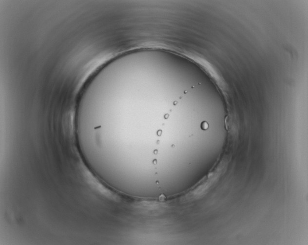 X0000113910910200910081847