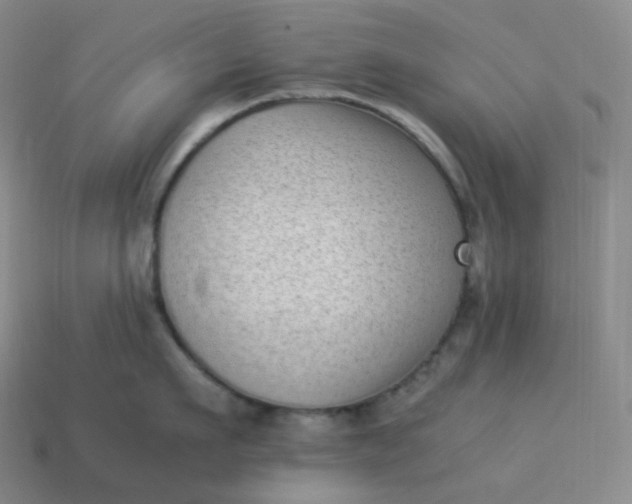 X0000113910911200910081847