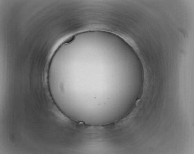 X0000113910912200910081847