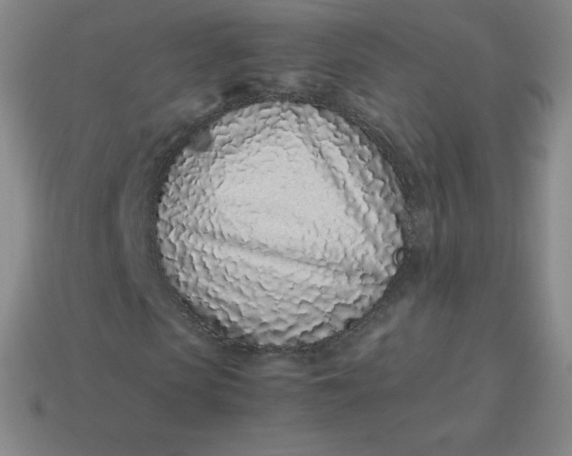 X0000113910913200910081846