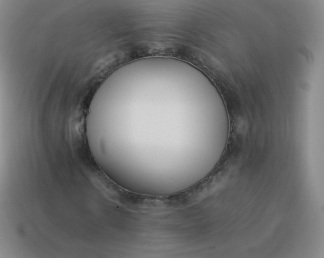 X0000113910914200910081846